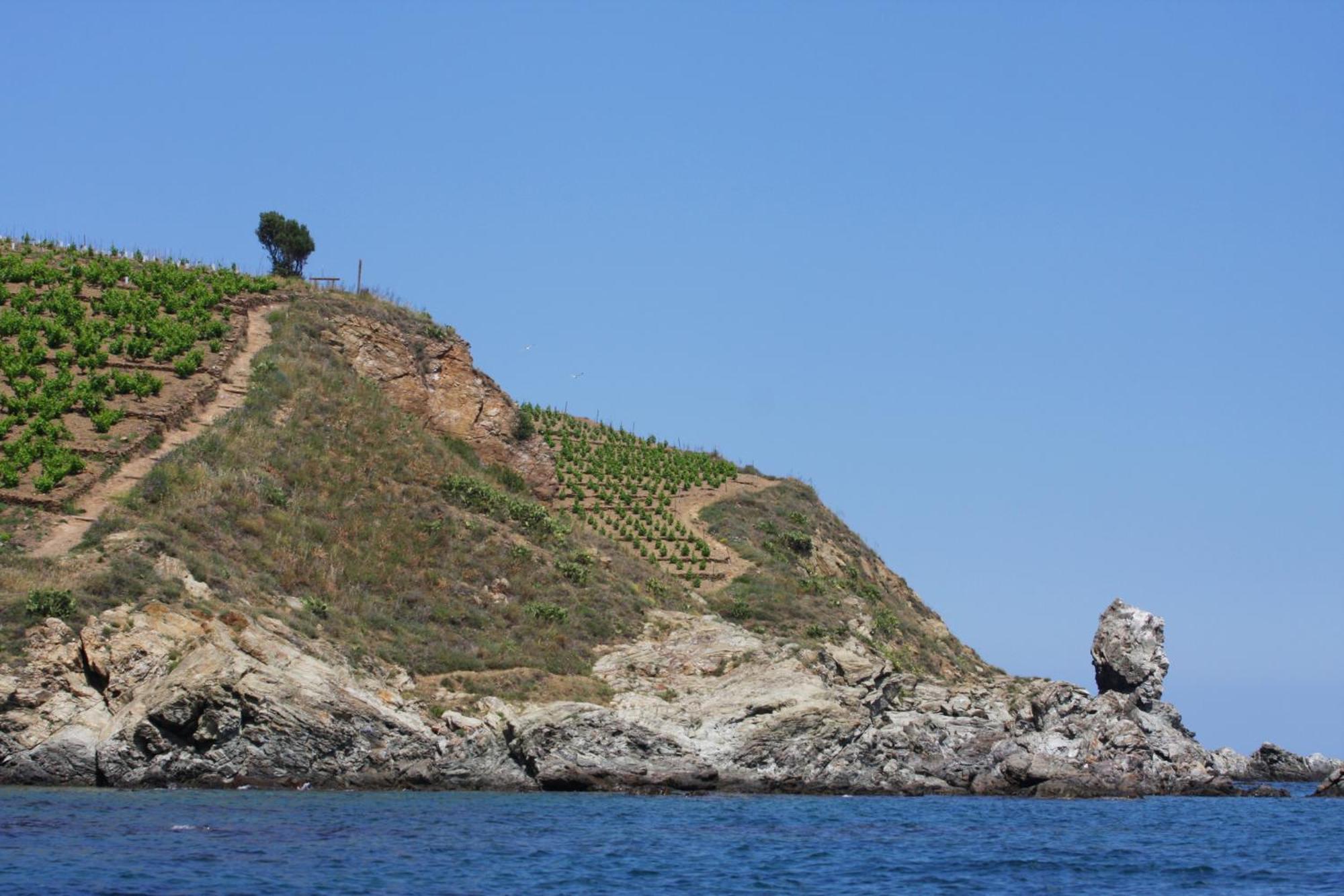 Logis Solhotel Banyuls-sur-Mer Buitenkant foto