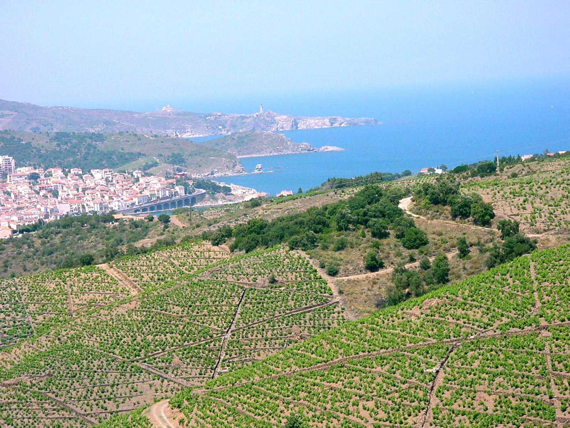 Logis Solhotel Banyuls-sur-Mer Buitenkant foto