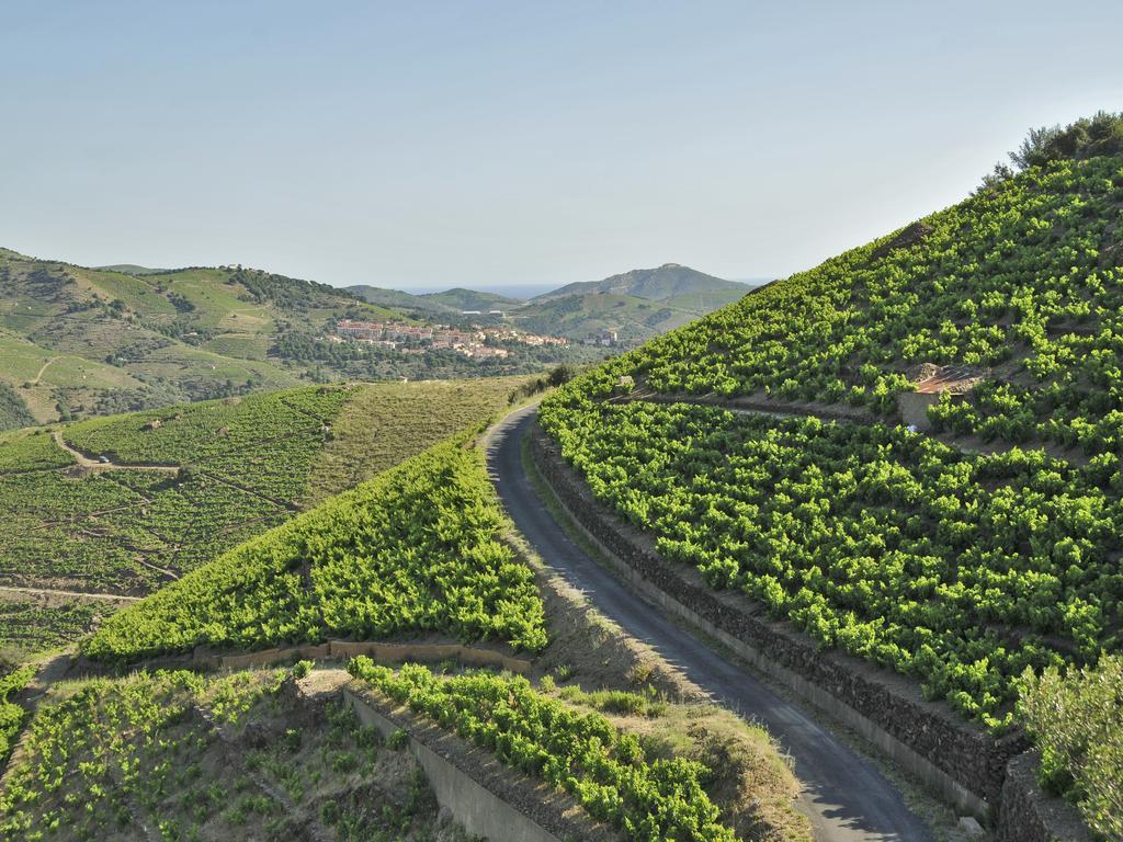 Logis Solhotel Banyuls-sur-Mer Buitenkant foto