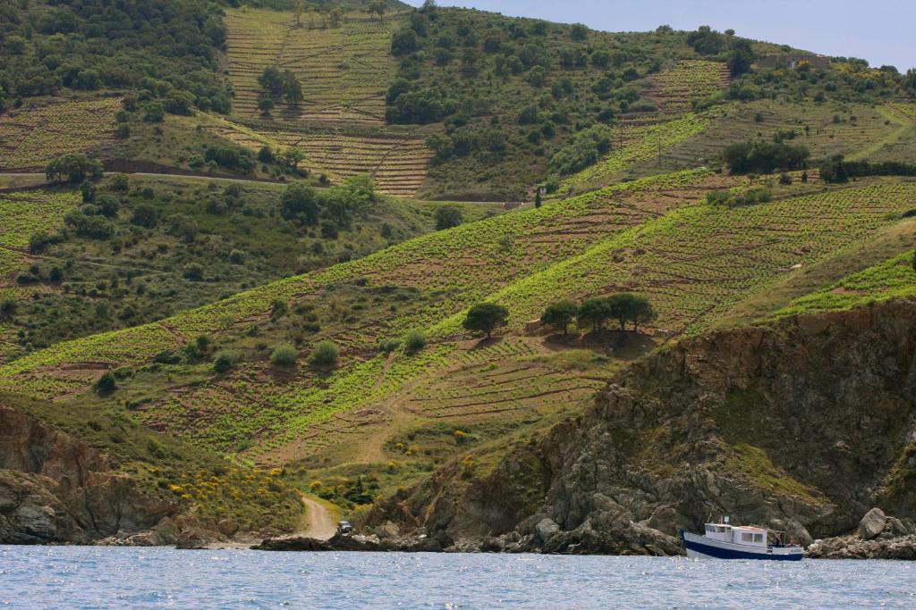 Logis Solhotel Banyuls-sur-Mer Buitenkant foto